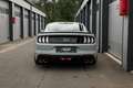 Ford Mustang Mach 1 Fastback Grau - thumbnail 6