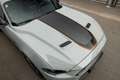 Ford Mustang Mach 1 Fastback Grau - thumbnail 19