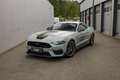 Ford Mustang Mach 1 Fastback Grau - thumbnail 1