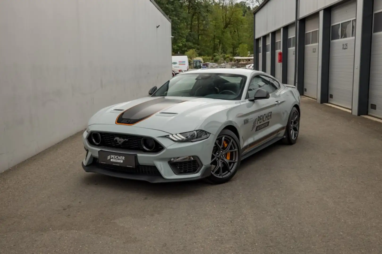 Ford Mustang Mach 1 Fastback Grau - 1