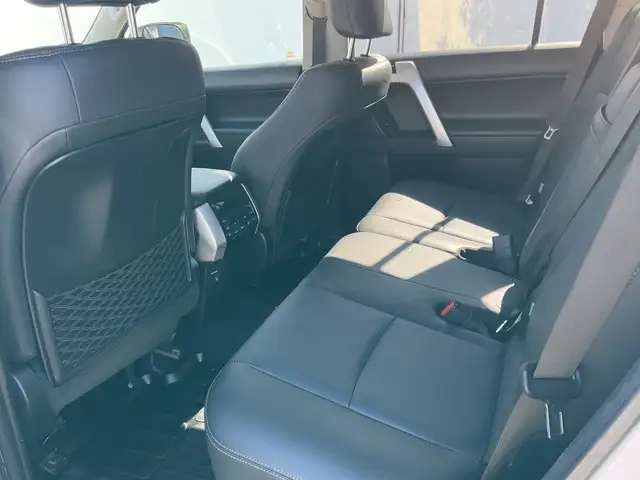 Toyota Land Cruiser view 8