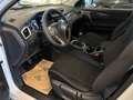 Nissan Qashqai 1,2 DIG-T Visia Weiß - thumbnail 11