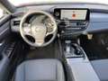 Lexus ES 300 Lexus ES 300h Busine Schwarz - thumbnail 9
