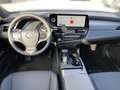 Lexus ES 300 Lexus ES 300h Busine Schwarz - thumbnail 10
