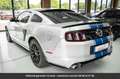 Ford Mustang GT Premium Tout compris hors homologation 4500e Argent - thumbnail 4