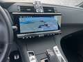 DS Automobiles DS 7 Crossback DS7 Blue-HDI 130 EAT8 Etoile/ Navi/LED Grau - thumbnail 20
