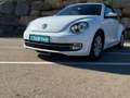 Volkswagen Beetle Cabrio 1.2 TSI Design 77kW Blanco - thumbnail 7