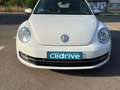 Volkswagen Beetle Cabrio 1.2 TSI Design 77kW Blanco - thumbnail 3