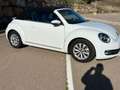 Volkswagen Beetle Cabrio 1.2 TSI Design 77kW Blanco - thumbnail 8