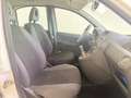 Fiat Panda 4x4 1.2 Bianco - thumbnail 9