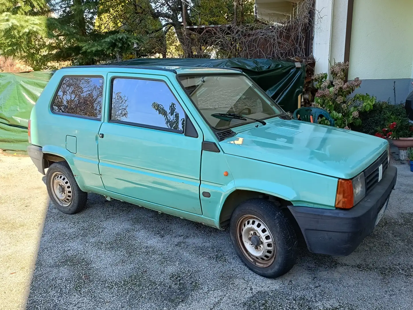 Fiat Panda Panda I 1.1 Young Vert - 1