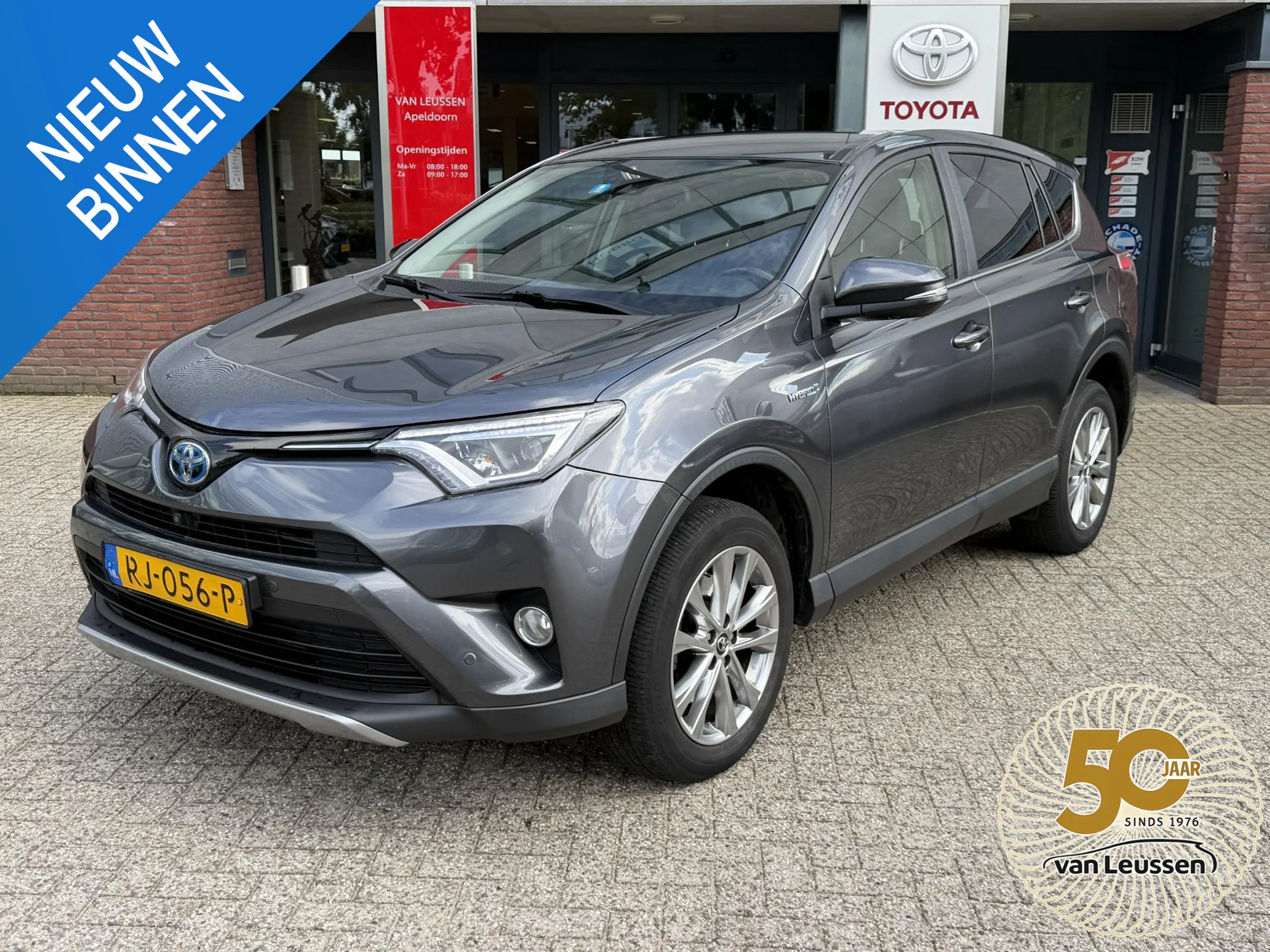 Toyota RAV 4 2.5 Hybrid Executive Business AWD 1650 TREKGEWICHT