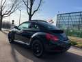 Volkswagen Beetle 1.6 TDI Cup Xenon/Panorama Noir - thumbnail 4