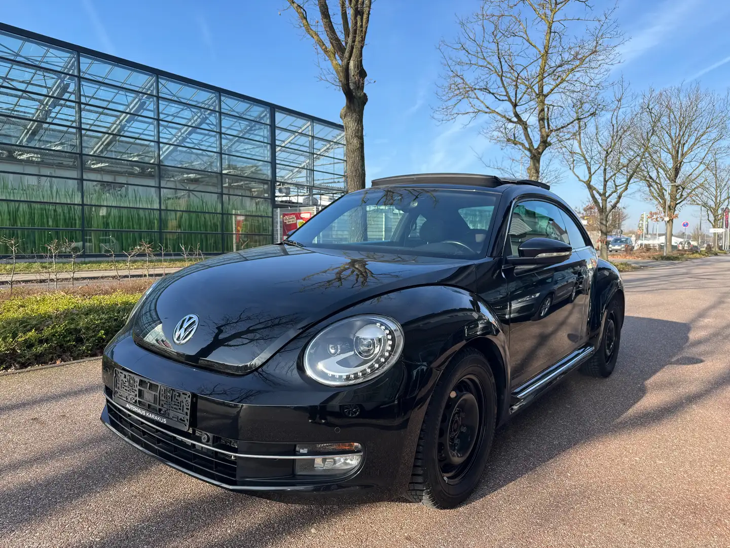 Volkswagen Beetle 1.6 TDI Cup Xenon/Panorama Noir - 1
