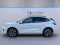 Ford Kuga ST-Line X 2.5 Duratec PHEV *PANO*iACC*20ZOLL* Blanc - thumbnail 3