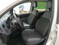 Fiat Panda Panda 1.2 Easy Wit - thumbnail 11