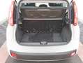 Fiat Panda Panda 1.2 Easy Blanc - thumbnail 8