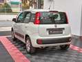 Fiat Panda Panda 1.2 Easy Blanc - thumbnail 4