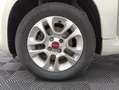 Fiat Panda Panda 1.2 Easy Blanc - thumbnail 7