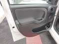 Fiat Panda Panda 1.2 Easy Wit - thumbnail 9