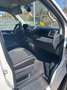 Volkswagen T6 Multivan DSG Kurz Edition Comfortline Candy-Weiß Weiß - thumbnail 14