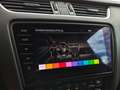 Skoda Octavia Scout 4x4 DSG*RFK*ACC*ALCANTARA*KEYLESS*CANTON Blau - thumbnail 31