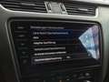 Skoda Octavia Scout 4x4 DSG*RFK*ACC*ALCANTARA*KEYLESS*CANTON Blau - thumbnail 29