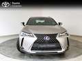 Lexus UX 300e BEV 54.3KWH EXECUTIVE 204 5PT Grau - thumbnail 5