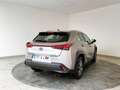 Lexus UX 300e BEV 54.3KWH EXECUTIVE 204 5PT Grau - thumbnail 18