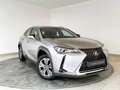 Lexus UX 300e BEV 54.3KWH EXECUTIVE 204 5PT Grau - thumbnail 19