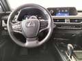 Lexus UX 300e BEV 54.3KWH EXECUTIVE 204 5PT Grau - thumbnail 13