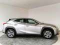 Lexus UX 300e BEV 54.3KWH EXECUTIVE 204 5PT Grau - thumbnail 17