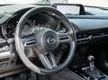 Mazda CX-30 SKY-G 150 M-Hybrid Selection Design & Premium-Pake Blau - thumbnail 21