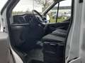 Ford Transit FOURGON T350 L2H2 130CV TREND BUSINESS PRIX 11500 HT Blanc - thumbnail 17