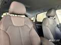 Audi SQ5 Q5 SPB 40 TDI quattro S tronic S line - thumbnail 13