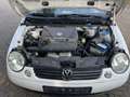 Volkswagen Lupo Basis Alb - thumbnail 2