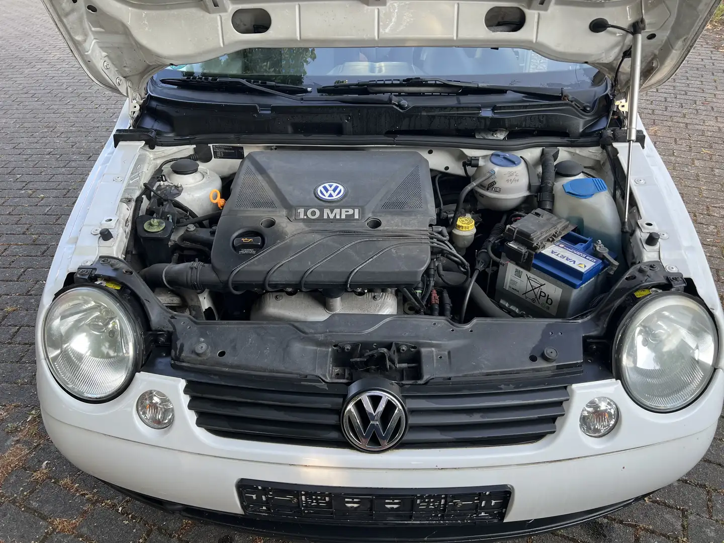 Volkswagen Lupo Basis Alb - 2