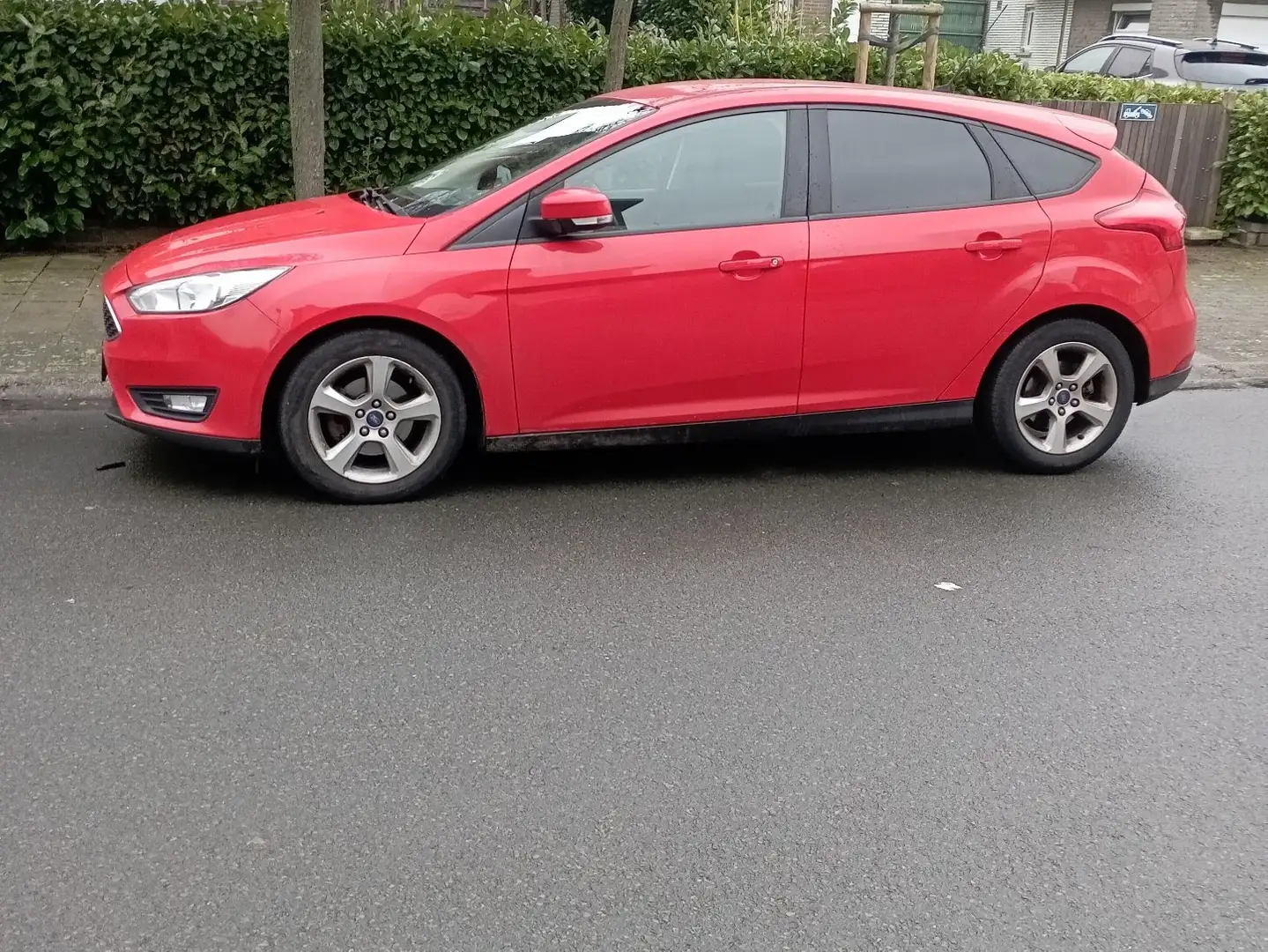 Ford Focus 1.0 EcoBoost 125 S&S Red Rouge - 2