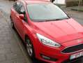 Ford Focus 1.0 EcoBoost 125 S&S Red Rouge - thumbnail 4
