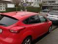 Ford Focus 1.0 EcoBoost 125 S&S Red Rouge - thumbnail 5