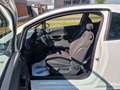 Opel Corsa D Color Edition OPC  120 ps / Navigation Weiß - thumbnail 10