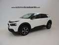 Citroën C4 Cactus BlueHDi 100 S&S Feel Blanco - thumbnail 1