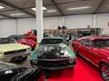 Ford Mustang Shelby Original GT-350 Vert - thumbnail 7
