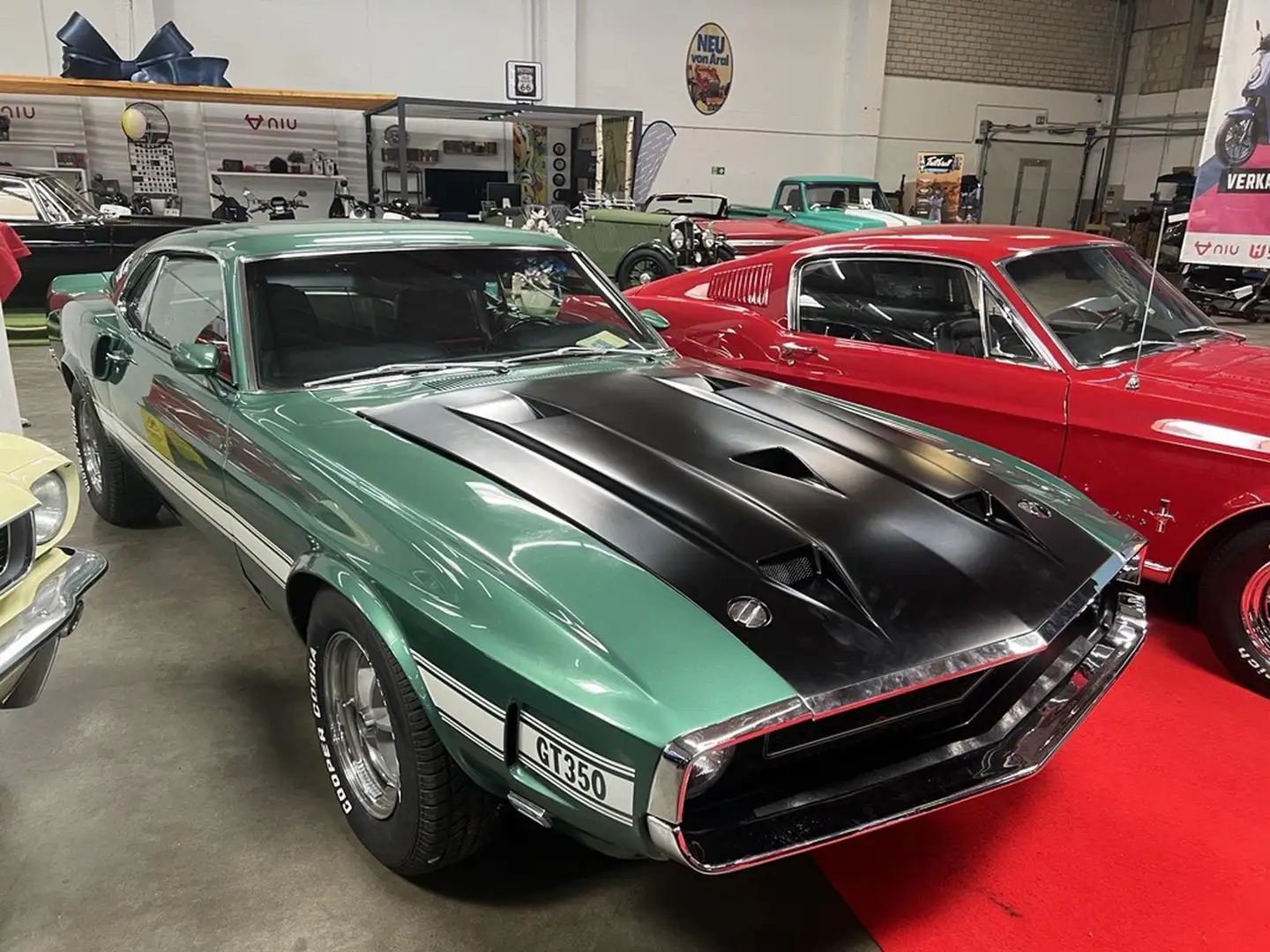 Ford Mustang Shelby Original GT-350 Vert - 2