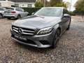 Mercedes-Benz C 300 Estate 300e Trekhaak Led Incl BTW Grijs - thumbnail 23