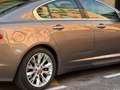 Jaguar XF XF 2.2 Diesel Premium Luxury Aut. Premium Luxury Marrón - thumbnail 6