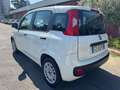 Fiat Panda 1.2 Easy (AUTOCARRO N1 4 POSTI) Blanco - thumbnail 6