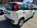Fiat Panda 1.2 Easy (AUTOCARRO N1 4 POSTI) Blanco - thumbnail 4