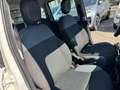 Fiat Panda 1.2 Easy (AUTOCARRO N1 4 POSTI) Blanco - thumbnail 12
