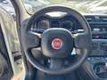 Fiat Panda 1.2 Easy (AUTOCARRO N1 4 POSTI) Blanco - thumbnail 7